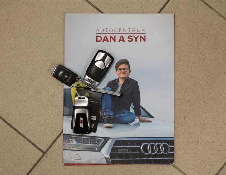 Audi SQ5 SUV 3,0 l 251 kw