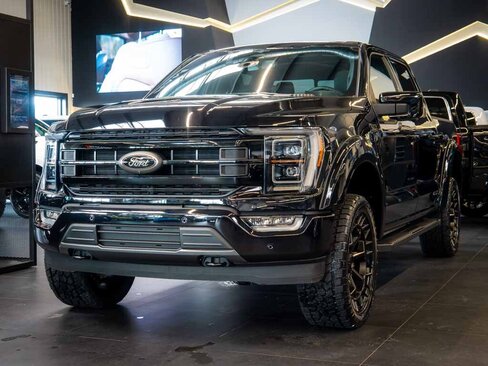 Ford F-150 Pick-up 5,0 l 298 kw