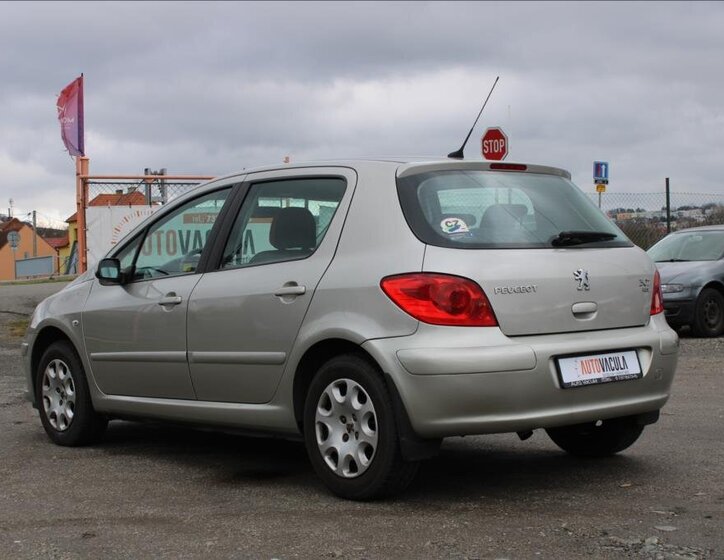 Peugeot 307 Hatchback 1,6 l 66 kw