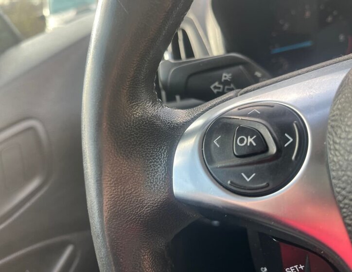 Ford Tourneo Connect 29