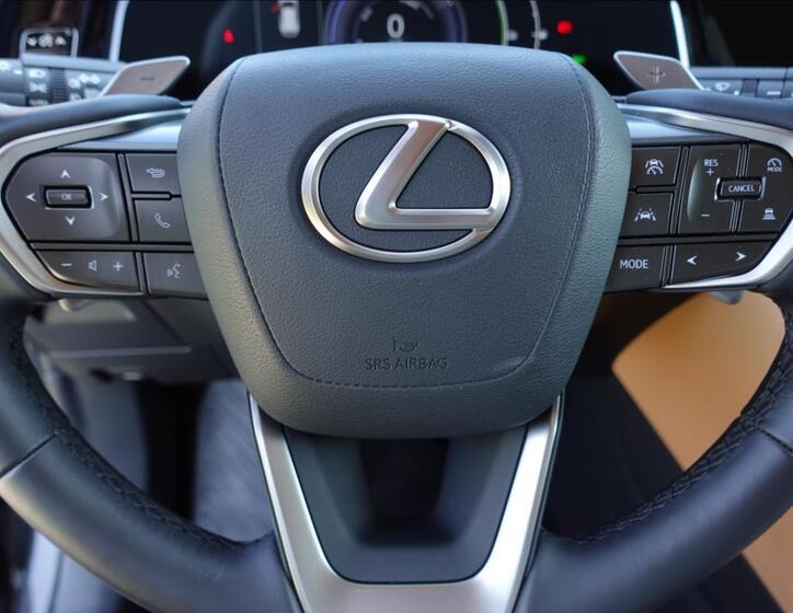 Lexus NX 450h plus 28