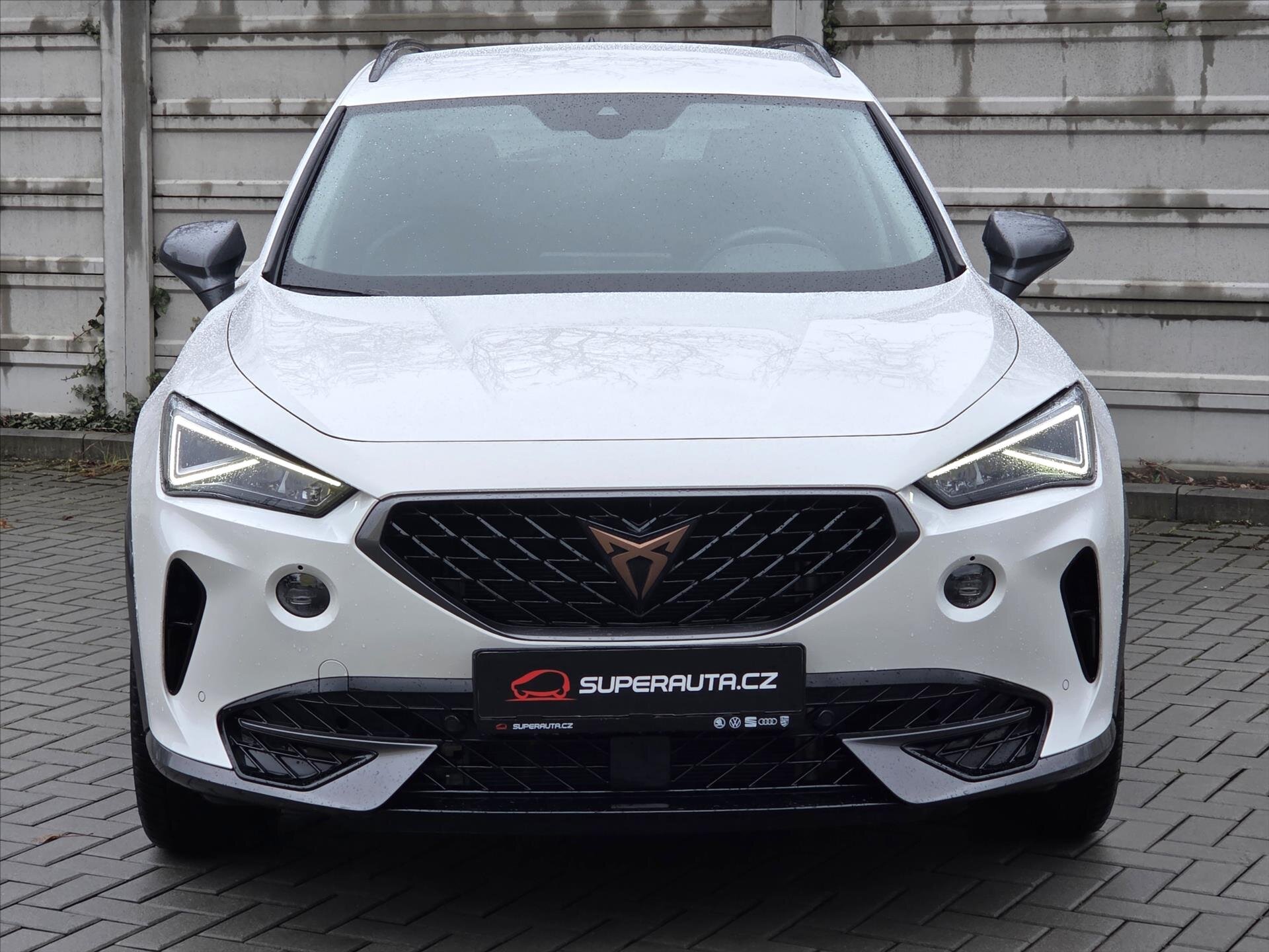 Cupra Formentor SUV / Terénní 2,0 l 110 kw