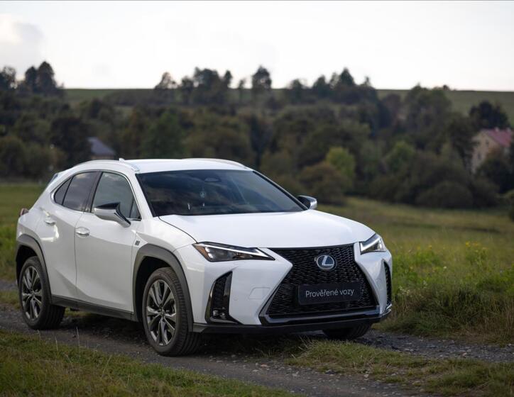 Lexus UX 300h 12