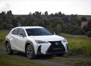 Lexus UX 300h 12