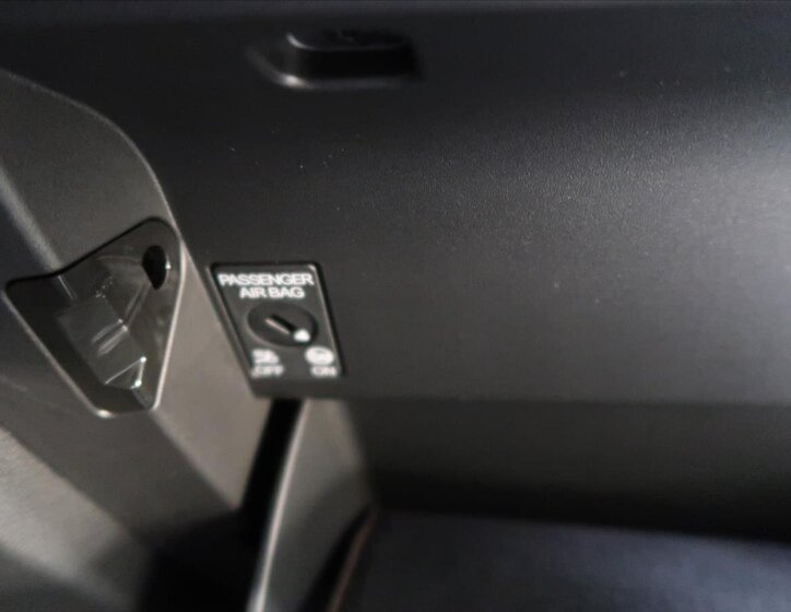 Cupra Terramar SUV 2,0 l 195 kw