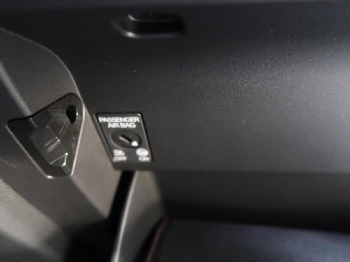 Cupra Terramar SUV 2,0 l 195 kw