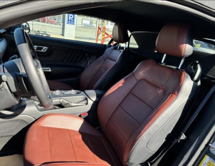 Ford Mustang Kabriolet 5,0 l 310 kw