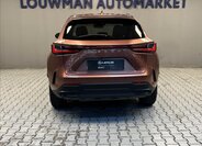 Lexus NX 450h plus 12