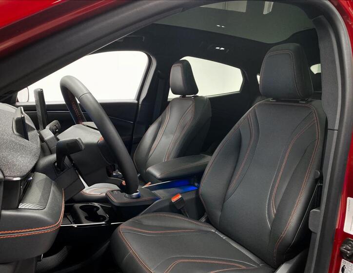 Ford Mustang Mach-E 11