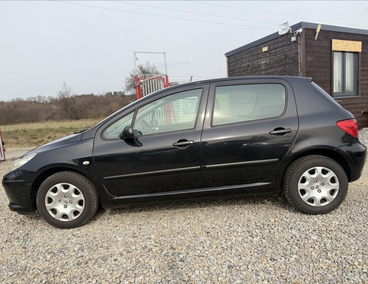 Peugeot 307 Hatchback 1,6 l 80 kw