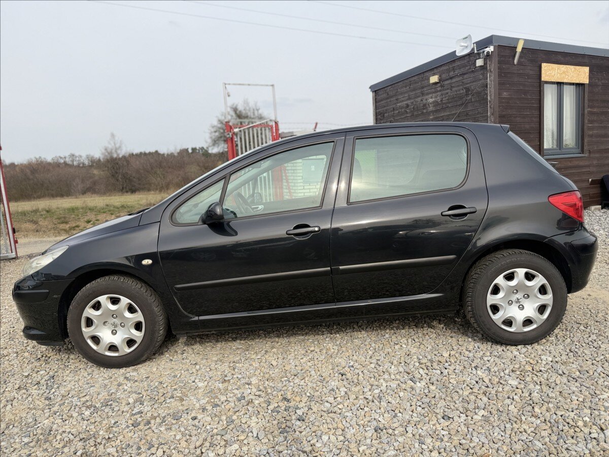 Peugeot 307 Hatchback 1,6 l 80 kw