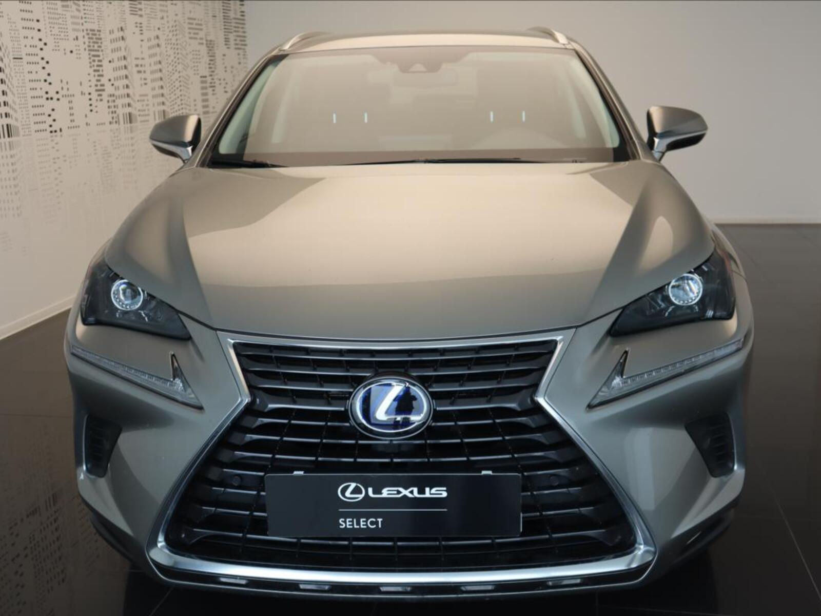 Lexus NX 300h 3