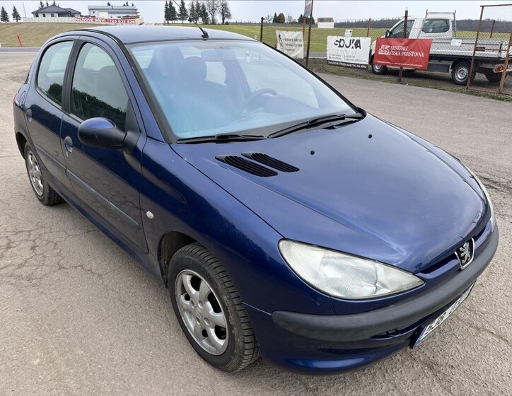Peugeot 206 Hatchback 1,4 l 55 kw
