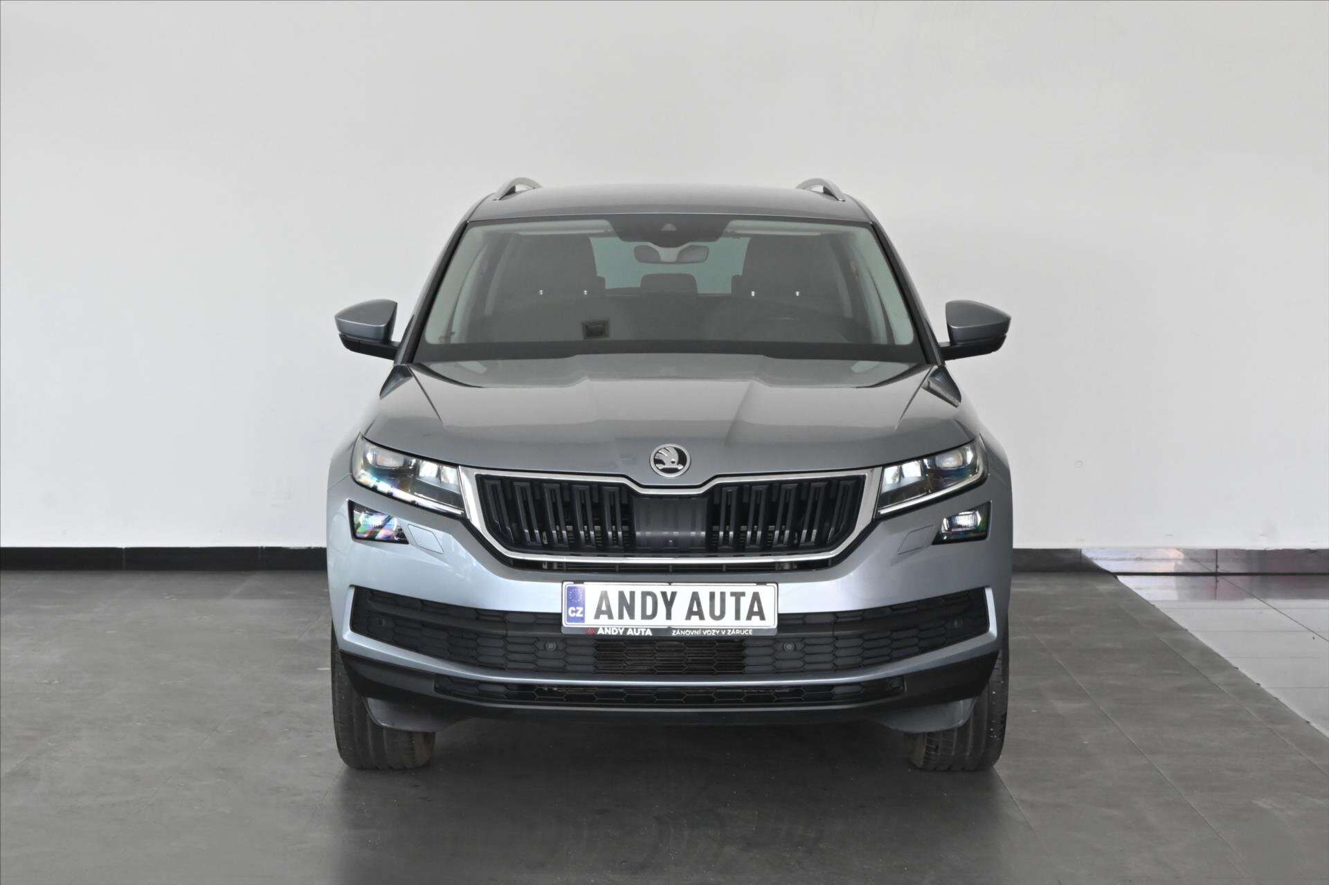 Škoda Kodiaq SUV / Terénní 2,0 l 110 kw
