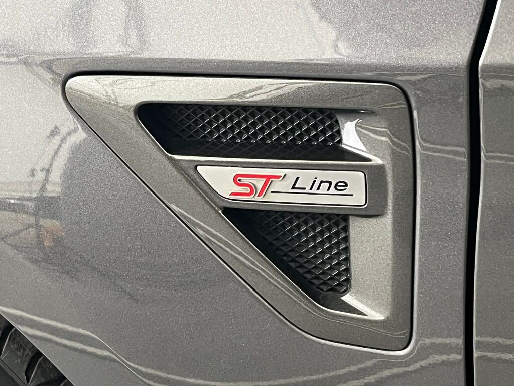 Ford S-MAX MPV 2,0 l 110 kw