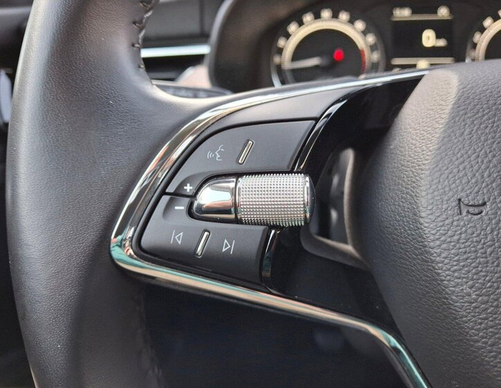 Škoda Scala Hatchback 1,6 l 85 kw