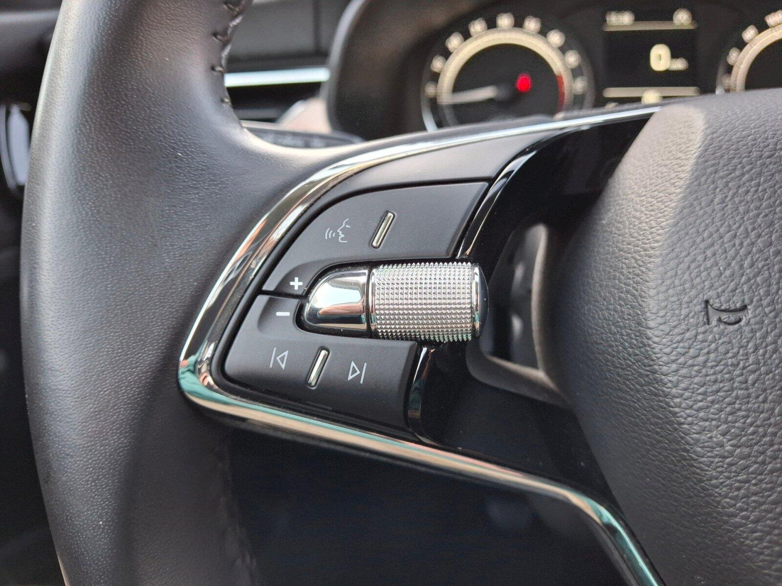 Škoda Scala Hatchback 1,6 l 85 kw