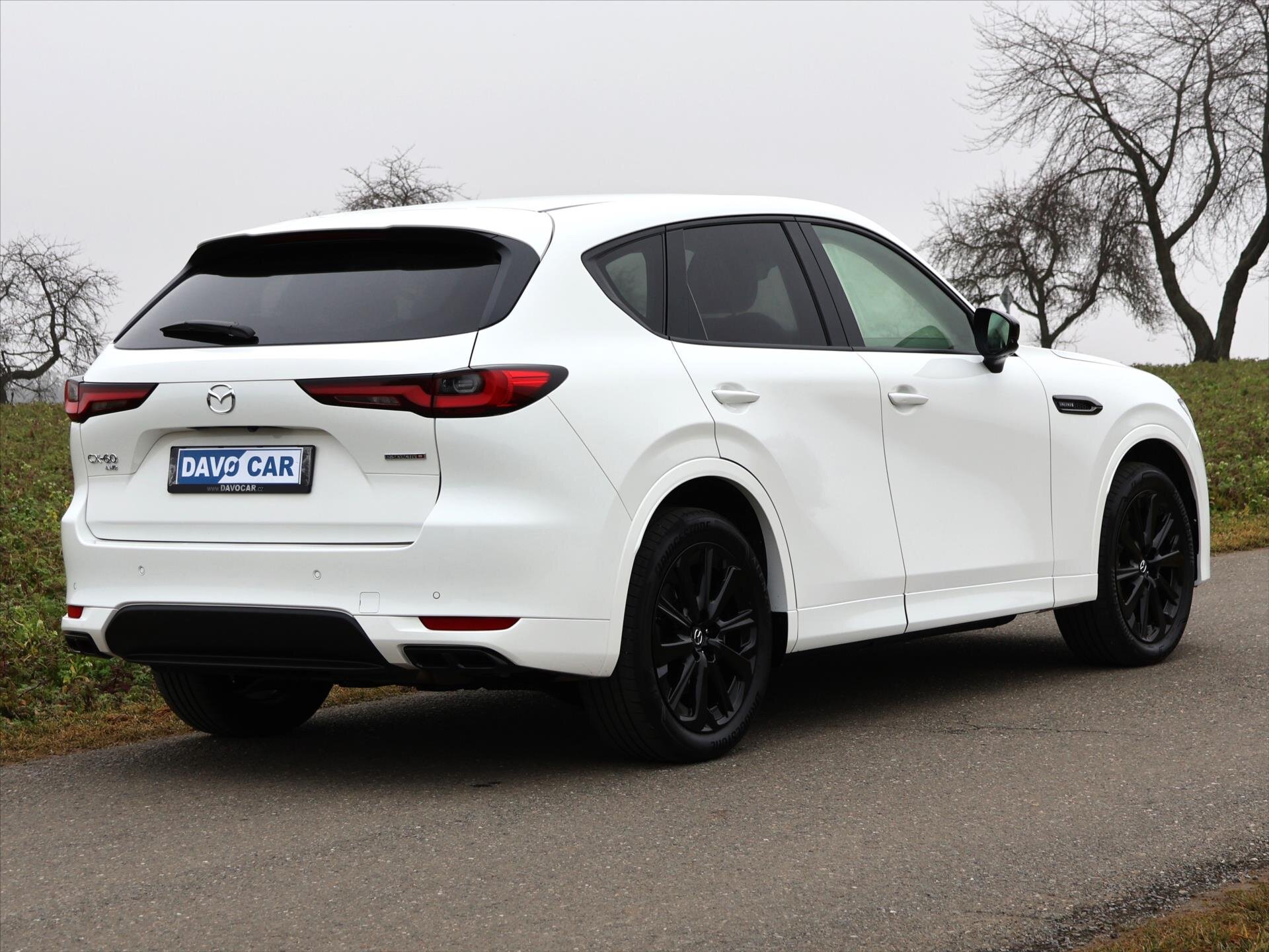 Mazda CX-60 SUV / Terénní 3,3 l 187 kw