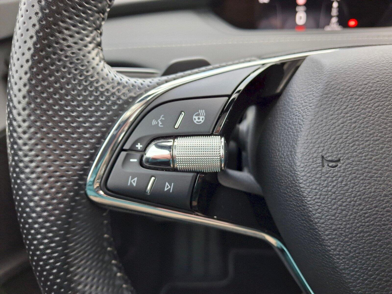 Škoda Enyaq Ostatní 0,0 220 kw