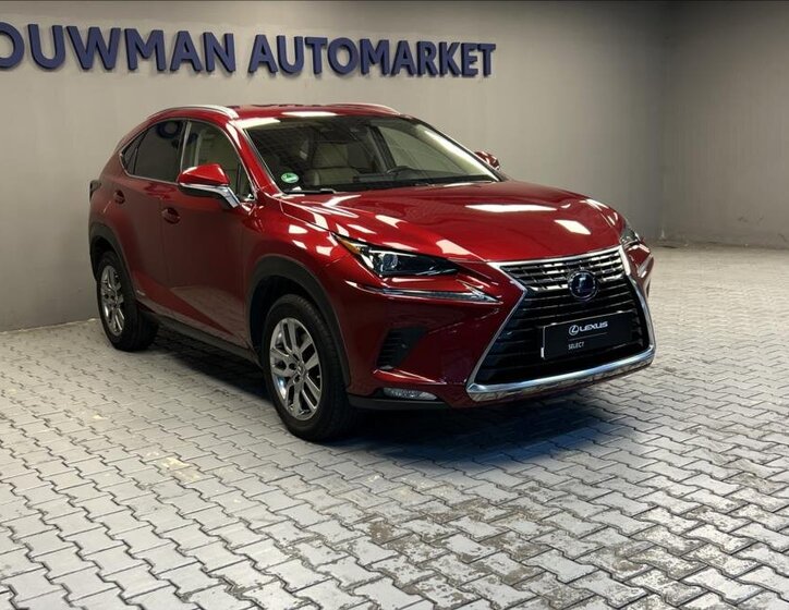 Lexus NX 300h 11