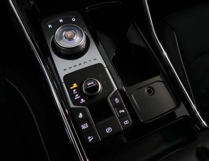 KIA Sorento 29