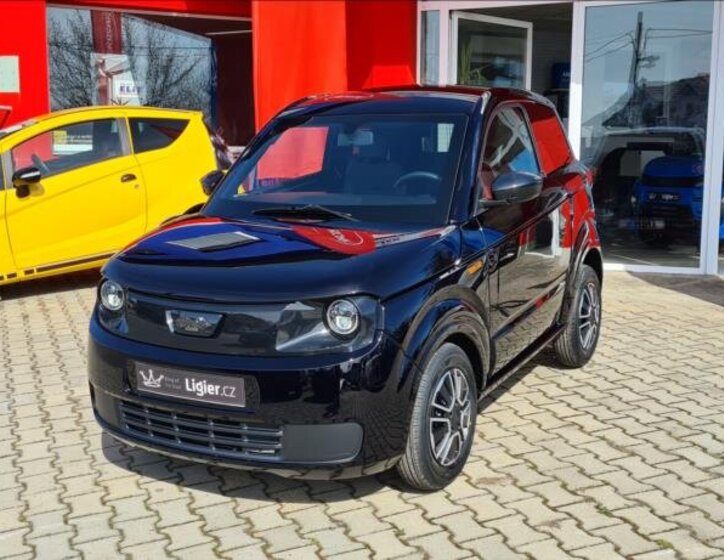 Ligier Ostatní Hatchback 499,0 6 kw