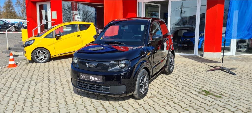 Ligier Ostatní Hatchback 499,0 6 kw