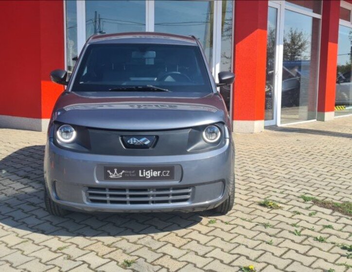 Ligier Ostatní Hatchback 499,0 6 kw