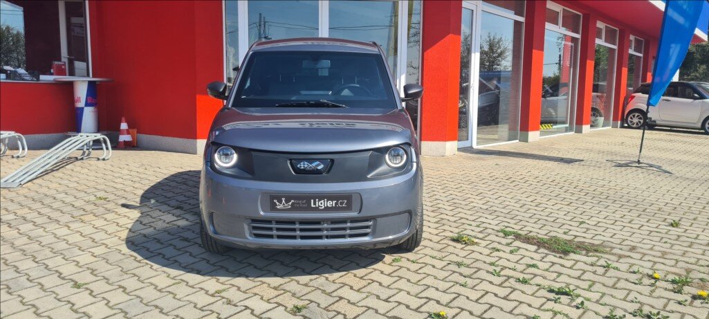 Ligier Ostatní Hatchback 499,0 6 kw