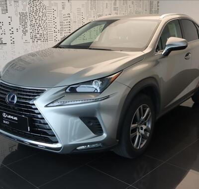 Lexus NX 300h 1