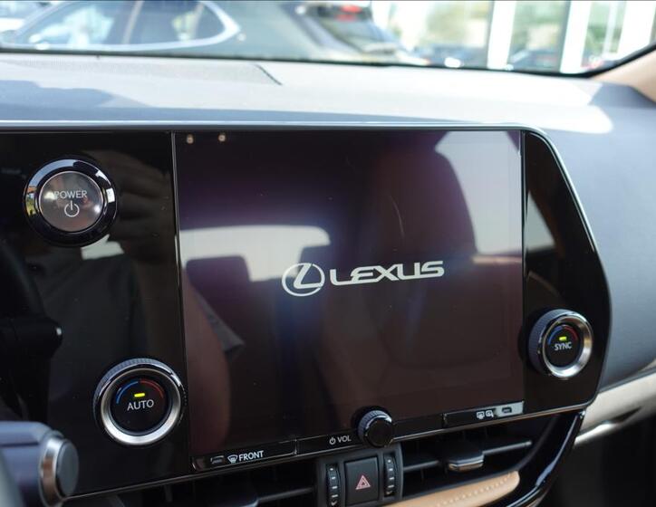 Lexus NX 450h plus 19