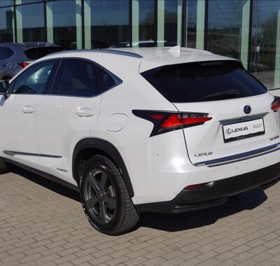 Lexus NX 300h 7