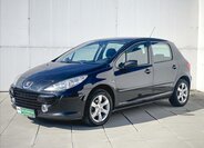 Peugeot 307 Hatchback 1,6 l 66 kw
