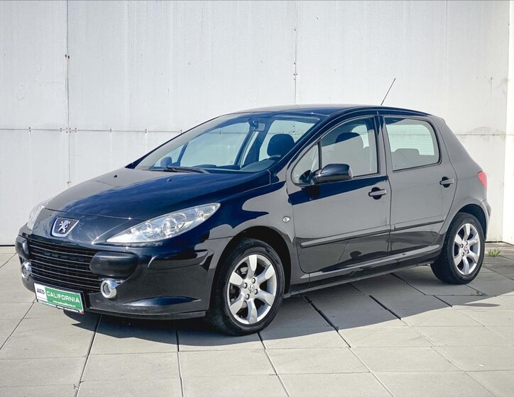 Peugeot 307 Hatchback 1,6 l 66 kw