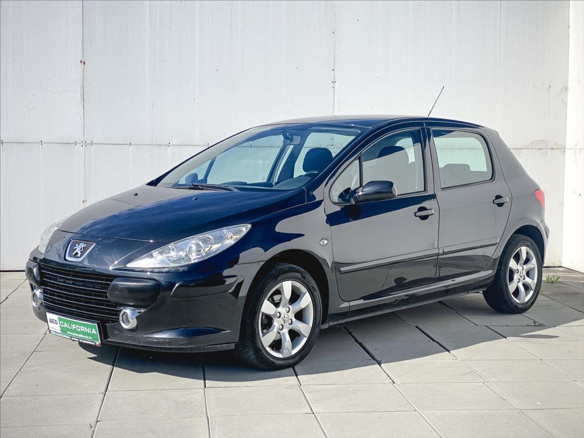 Peugeot 307 Hatchback 1,6 l 66 kw