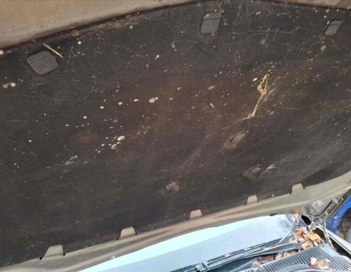 Škoda Octavia Ostatní 2,0 l 103 kw