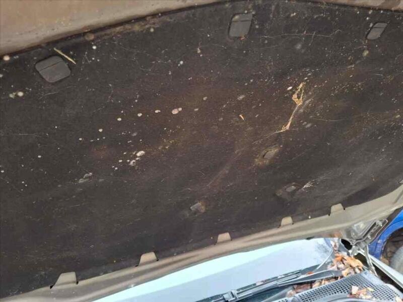 Škoda Octavia Ostatní 2,0 l 103 kw