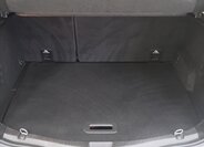 Renault Scénic MPV 1,5 l 81 kw