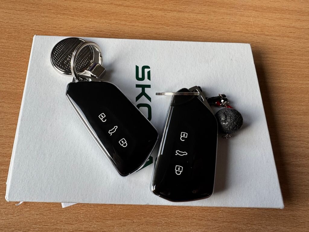 Škoda Ostatní SUV 0,0 250 kw