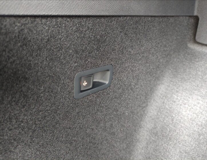 Cupra Formentor SUV 2,0 l 110 kw