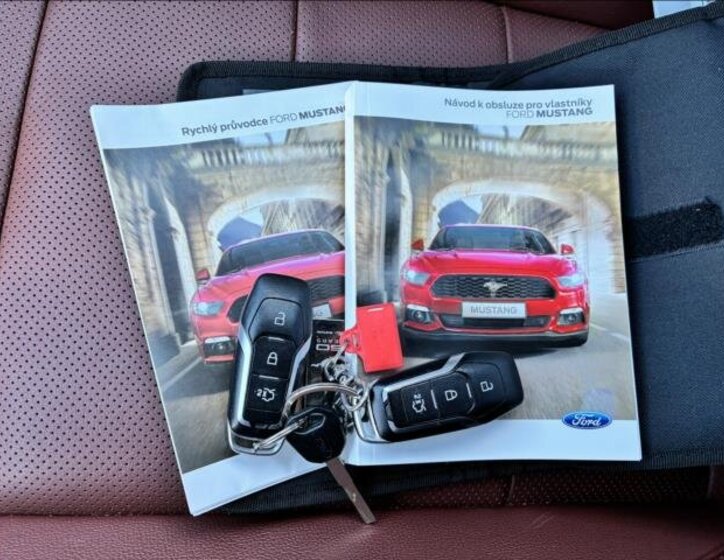 Ford Mustang Kabriolet 5,0 l 310 kw