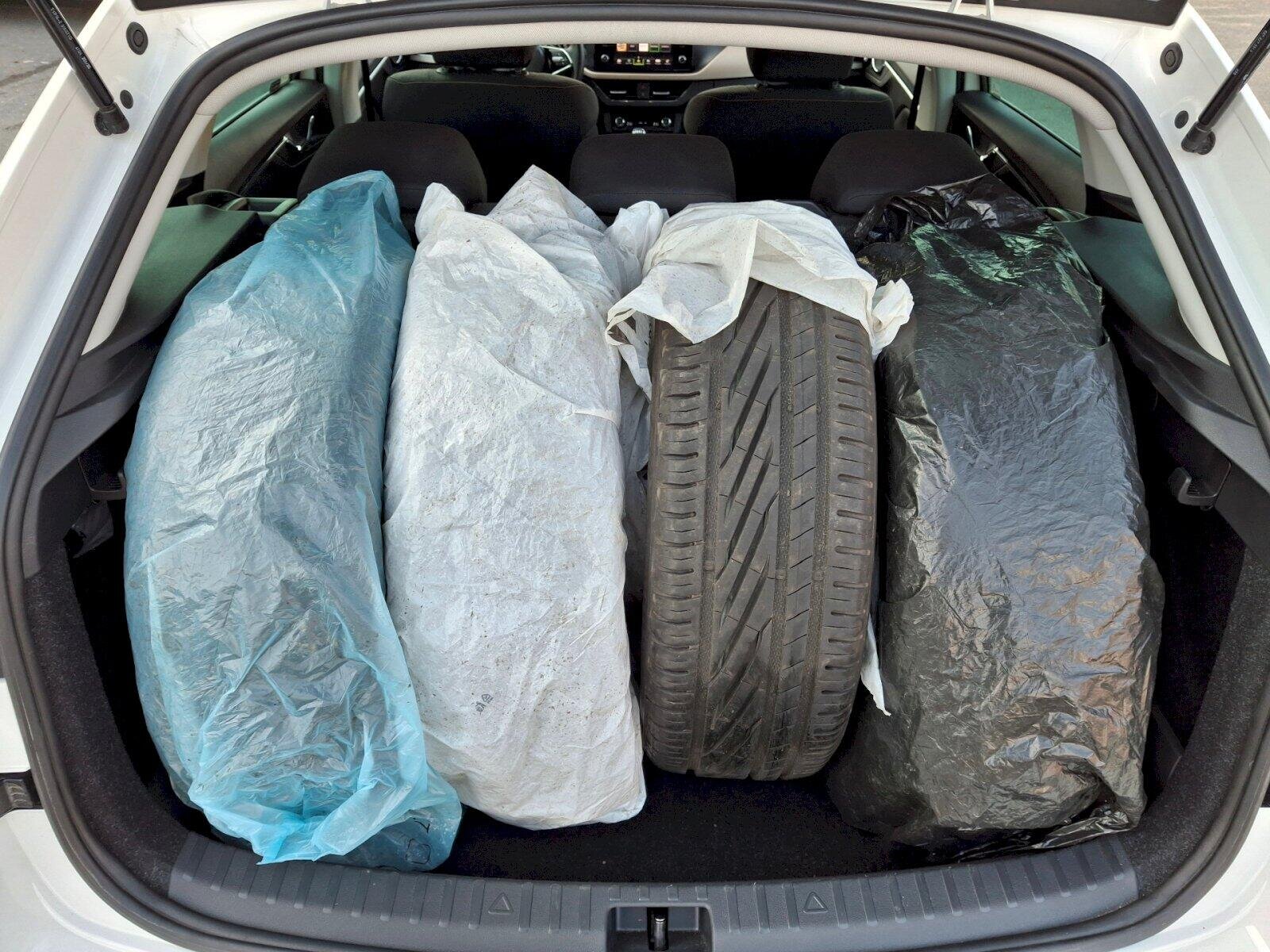 Škoda Scala Hatchback 1,6 l 85 kw