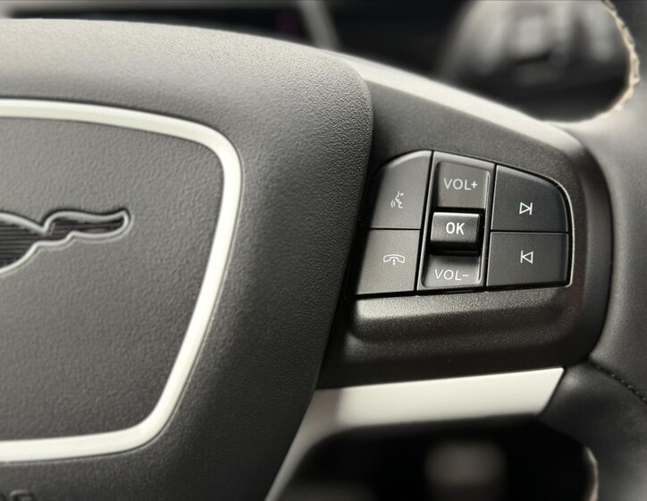 Ford Mustang Mach-E 24