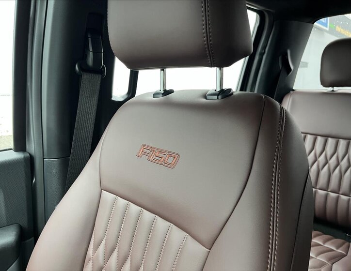 Ford F-150 Pick-up 5,0 l 298 kw