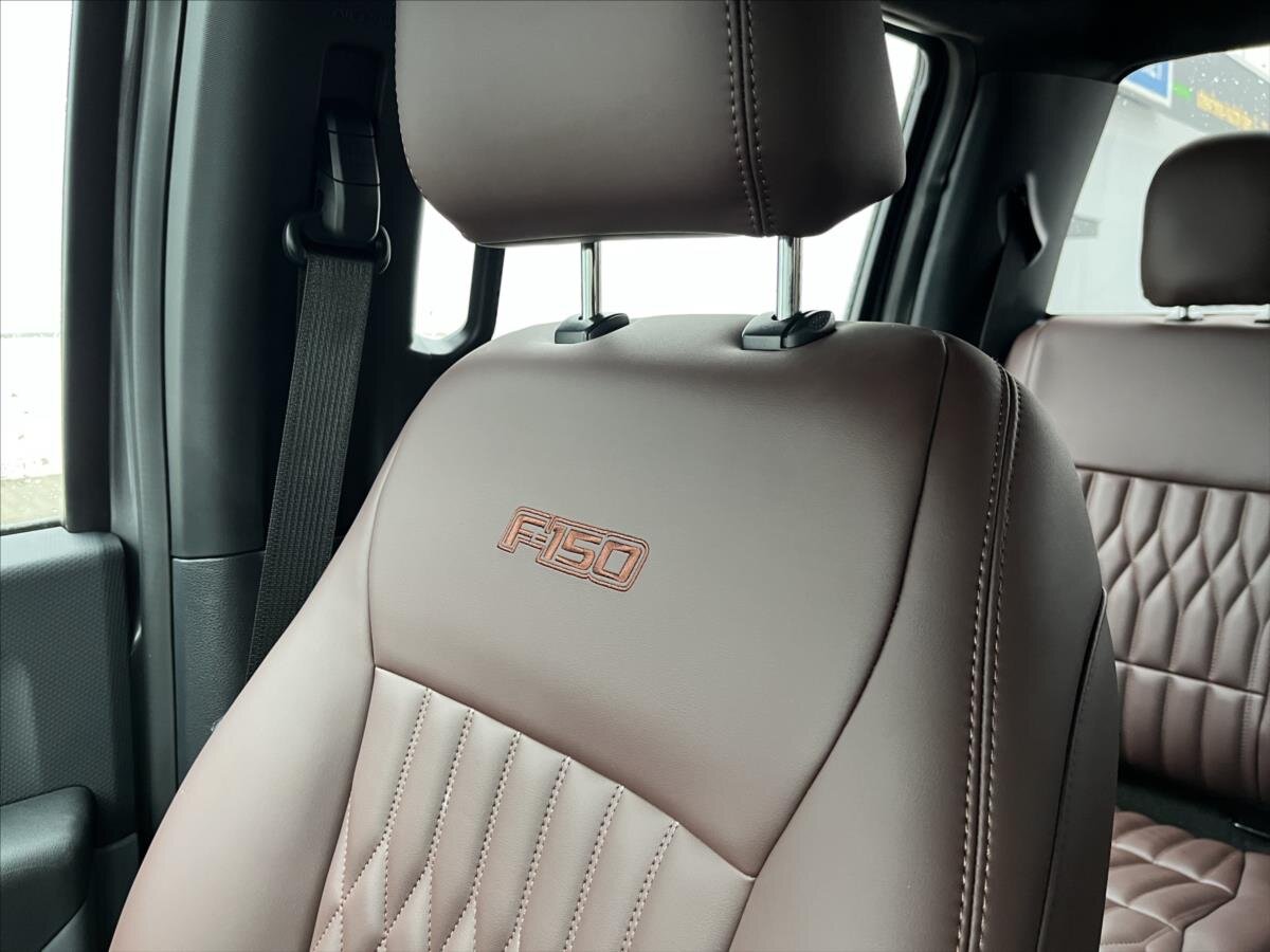 Ford F-150 Pick-up 5,0 l 298 kw