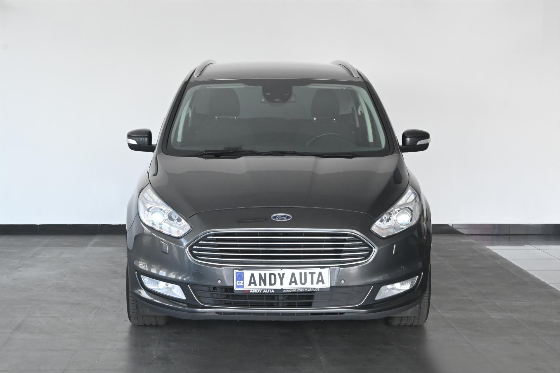 Ford Galaxy MPV 2,0 l 140 kw