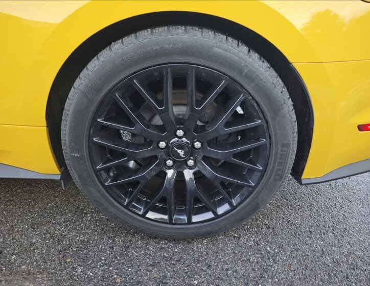 Ford Mustang Kupé 5,0 l 310 kw