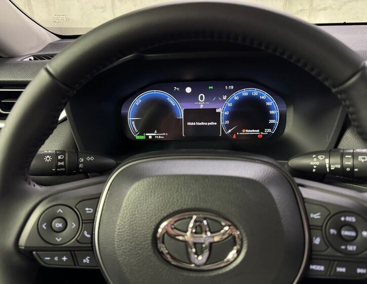 Toyota RAV4 SUV 2,5 l 163 kw