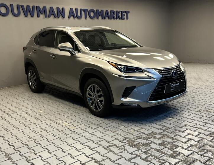Lexus NX 300h 11