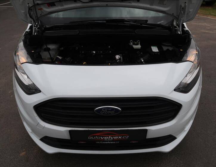 Ford Transit Connect 19